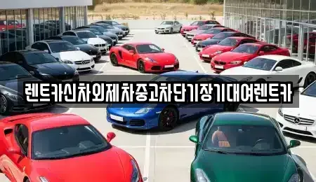 서울 용산구 한강로2가 단기렌트카 전문 렌트카신차외제차중고차단기장기대여렌트카