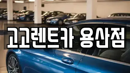 서울 용산구 한강로2가 렌트카 전문 고고렌트카 용산점