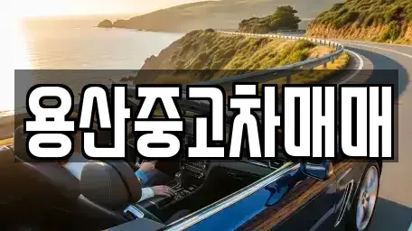 서울 용산구 한강로2가 중고차매매 전문 용산중고차매매