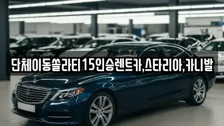 서울 은평구 구산동 렌트카 전문 단체이동쏠라티15인승렌트카,스타리아,카니발