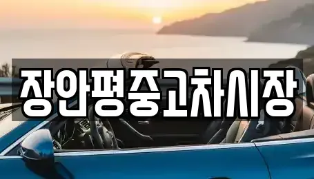 서울 은평구 구산동 중고차 전문 장안평중고차시장