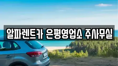 서울 은평구 불광동 렌트카 전문 알파렌트카 은평영업소 주사무실