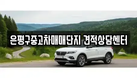 서울 은평구 불광동 중고차매매,단기렌트카,중고차매입,장기렌트카,중고차,렌트카