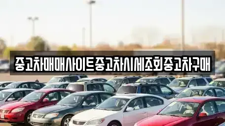 서울 은평구 불광동 중고차매매 전문 중고차매매사이트중고차시세조회중고차구매