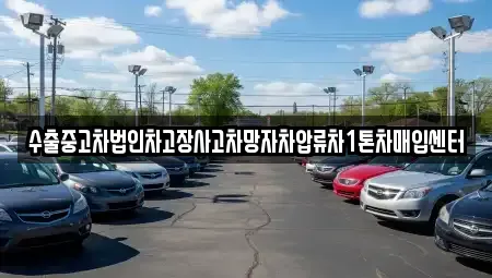 서울 은평구 불광동 중고차매입 전문 수출중고차법인차고장사고차망자차압류차1톤차매입센터