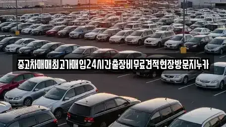 서울 은평구 불광동 중고차매입 전문 중고차매매최고가매입24시간출장비무료견적현장방문지누카