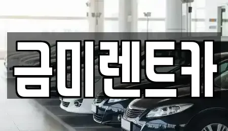 서울 종로구 궁정동 렌트카 전문 금미렌트카