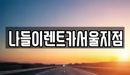 서울 종로구 명륜3가 렌트카 전문 나들이렌트카서울지점