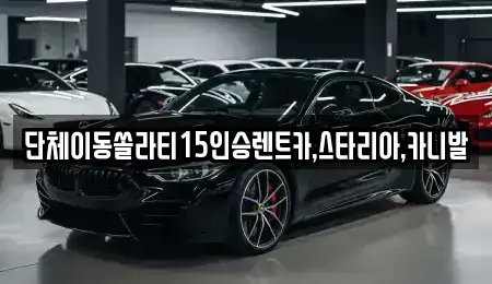 서울 종로구 명륜3가 렌트카 전문 단체이동쏠라티15인승렌트카,스타리아,카니발