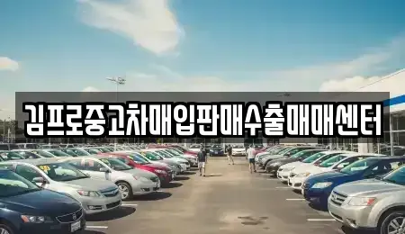 서울 종로구 명륜3가 중고차 전문 김프로중고차매입판매수출매매센터
