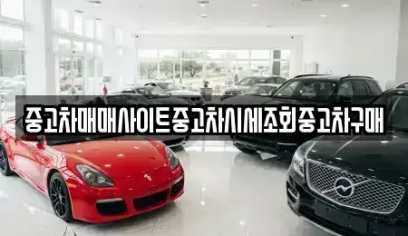 서울 종로구 명륜3가 중고차 전문 중고차매매사이트중고차시세조회중고차구매