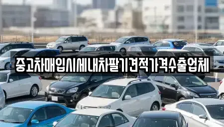서울 종로구 명륜3가 중고차매입 전문 중고차매입시세내차팔기견적가격수출업체