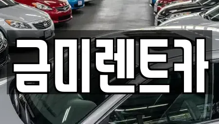 서울 종로구 신영동 렌트카,단기렌트카,장기렌트카,중고차,중고차매매,중고차매입