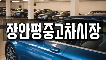 서울 종로구 신영동 중고차 전문 장안평중고차시장