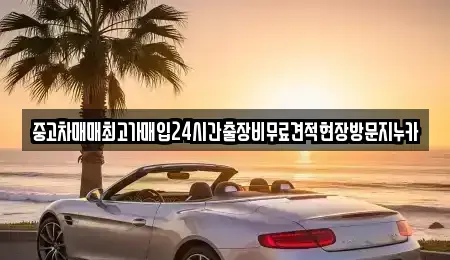 서울 종로구 신영동 중고차 전문 중고차매매최고가매입24시간출장비무료견적현장방문지누카