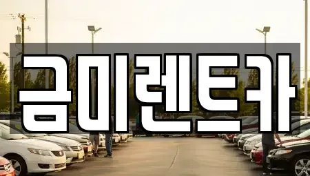 서울 종로구 원남동 렌트카 전문 금미렌트카