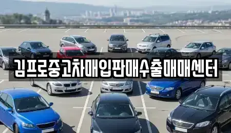 서울 종로구 원남동 중고차매입 전문 김프로중고차매입판매수출매매센터