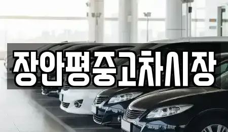서울 종로구 원서동 중고차매매 전문 장안평중고차시장