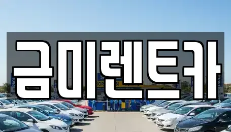 서울 종로구 익선동 렌트카 전문 금미렌트카