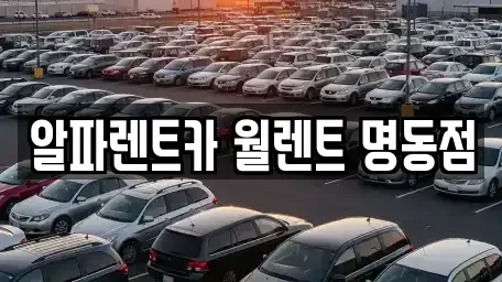 서울 종로구 익선동 렌트카 전문 알파렌트카 월렌트 명동점