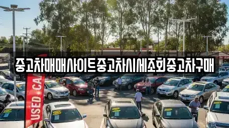서울 종로구 익선동 중고차매매 전문 중고차매매사이트중고차시세조회중고차구매