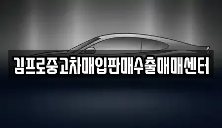 서울 종로구 익선동 중고차매입 전문 김프로중고차매입판매수출매매센터