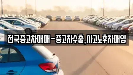 서울 종로구 익선동 중고차매입 전문 전국중고차매매-중고차수출,사고노후차매입