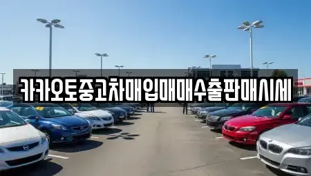 서울 중구 남창동 중고차매입 전문 카카오토중고차매입매매수출판매시세