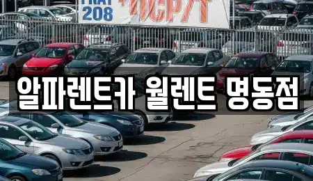 서울 중구 명동2가 렌트카 전문 알파렌트카 월렌트 명동점