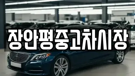 서울 중구 명동2가 중고차 전문 장안평중고차시장
