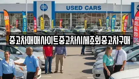 서울 중구 명동2가 중고차 전문 중고차매매사이트중고차시세조회중고차구매