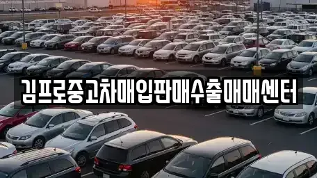 서울 중구 명동2가 중고차매입 전문 김프로중고차매입판매수출매매센터