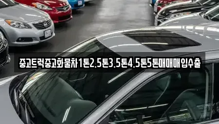 서울 중구 명동2가 중고차매입 전문 중고트럭중고화물차1톤2.5톤3.5톤4.5톤5톤매매매입수출