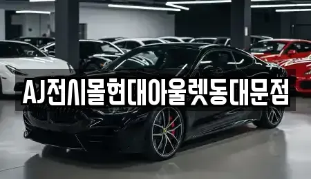 서울 중구 묵정동 렌트카 전문 AJ전시몰현대아울렛동대문점