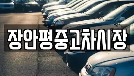 서울 중구 묵정동 중고차매매 전문 장안평중고차시장