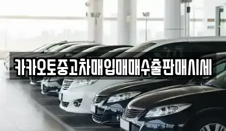 서울 중구 묵정동 중고차매입 전문 카카오토중고차매입매매수출판매시세