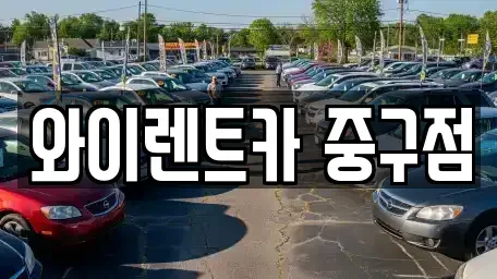 서울 중구 신당동 렌트카 전문 와이렌트카 중구점