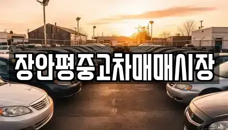 서울 중구 신당동 중고차 전문 장안평중고차매매시장