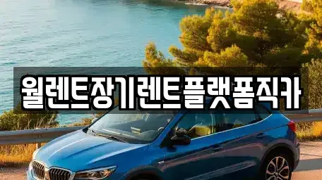 서울특별시 강동구 길동 장기렌트카 전문 월렌트장기렌트플랫폼직카