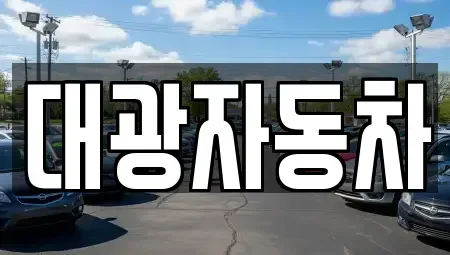 서울특별시 강동구 길동 중고차 전문 대광자동차