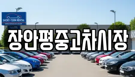 서울특별시 강동구 길동 중고차 전문 장안평중고차시장