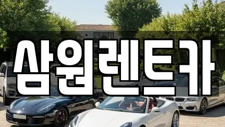서울특별시 강동구 명일동 렌트카 전문 삼원렌트카