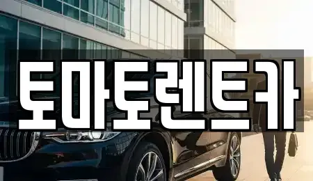 서울특별시 강동구 명일동 렌트카 전문 토마토렌트카