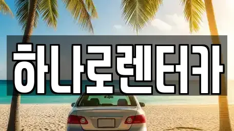 서울특별시 강동구 명일동 렌트카 전문 하나로렌터카