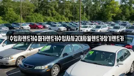 서울특별시 강동구 명일동 장기렌트카 전문 수입차렌트카슈퍼카렌트카수입차사고대차월렌트카장기렌트카