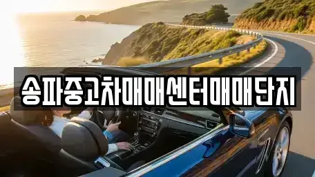 서울특별시 강동구 명일동 중고차매매 전문 송파중고차매매센터매매단지
