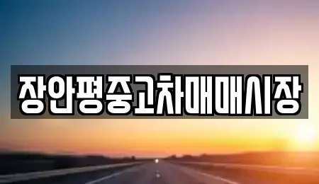 서울특별시 강동구 명일동 중고차매매 전문 장안평중고차매매시장