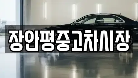 서울특별시 강동구 명일동 중고차매매 전문 장안평중고차시장