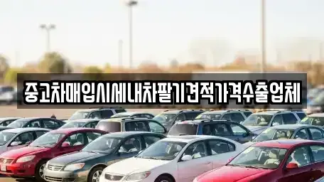 서울특별시 강동구 명일동 중고차매매 전문 중고차매입시세내차팔기견적가격수출업체