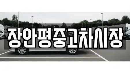 서울특별시 광진구 능동 중고차매매 전문 장안평중고차시장